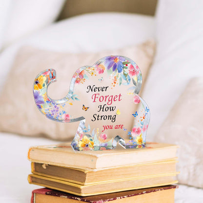 Inspirational Gifts for Women Elephant Gifts for Female Cheer up Gifts for Women Acrylic Elephant Shape Desk Decorative Sign Office Desk Accessories Gift for Mom Aunt Sister Daughter