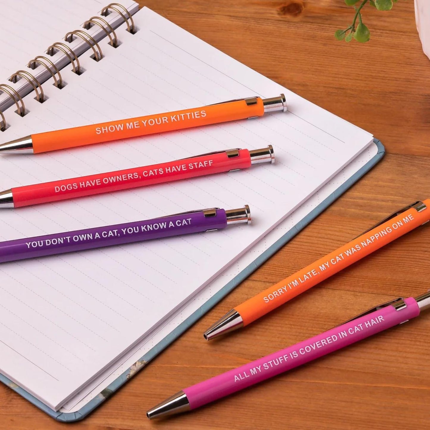 Funny Cat People Pens - Snarky Office Gag Gift, Black Ballpoint Pens with Humorous Sayings for Pet Owners, Cat Lovers, Coworkers