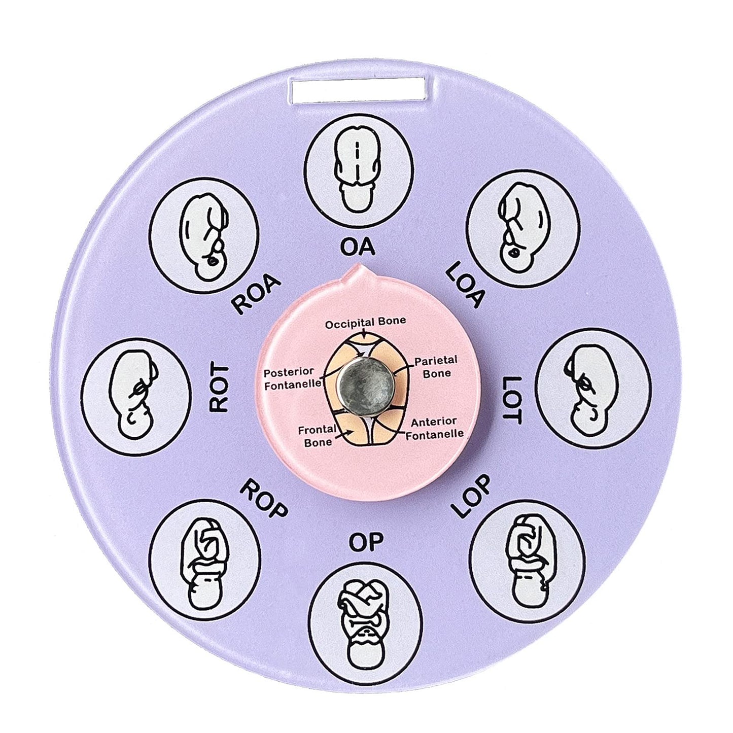 Midwife Fetal Position Tool, Midwife Gifts, Doula Supplies, Fetal Position Wheel, Childbirth Education Tools, Badge Buddies for Nurse, Fetal Position Wheel for Student Midwife Doctor Doula