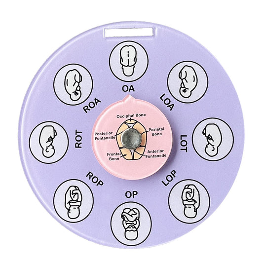 Midwife Fetal Position Tool, Midwife Gifts, Doula Supplies, Fetal Position Wheel, Childbirth Education Tools, Badge Buddies for Nurse, Fetal Position Wheel for Student Midwife Doctor Doula