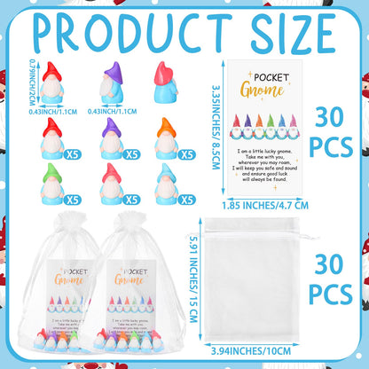 Silipull 30 sets Good Luck Gifts Bulk - Mini Resin Gnome Charms with Story Cards & Organza Bags - Teacher Appreciation Gifts Graduation Party Favors Pocket Tokens for Teacher Nurse Friends Coworkers