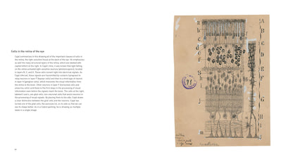 The Beautiful Brain: The Drawings of Santiago Ramon y Cajal
