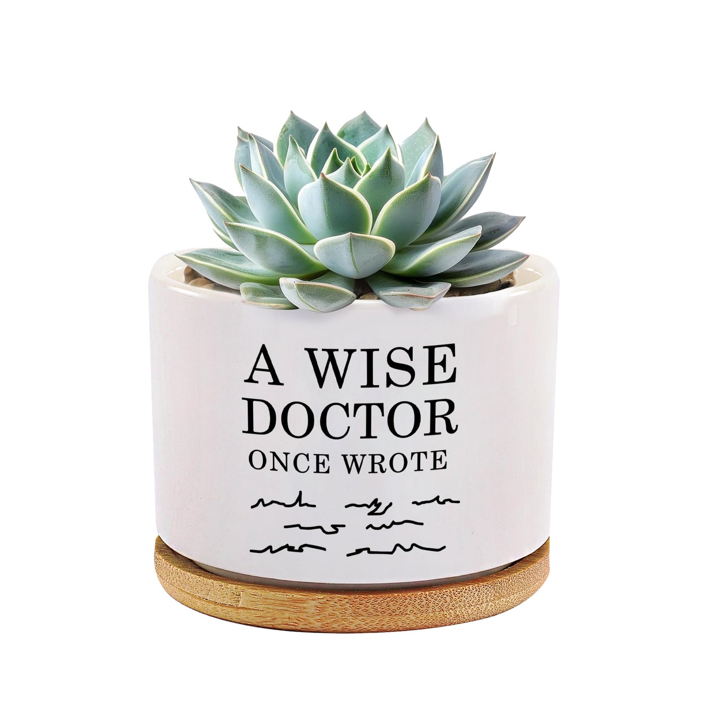 A Wise Doctor Once Wrote Ceramic Succulent Plant Pot with Tray Doctor Gifts Home Office Decor Indoor Plant Dr Graduation Gift 3.5 Inch White (No Plants) (with Bamboo Tray)