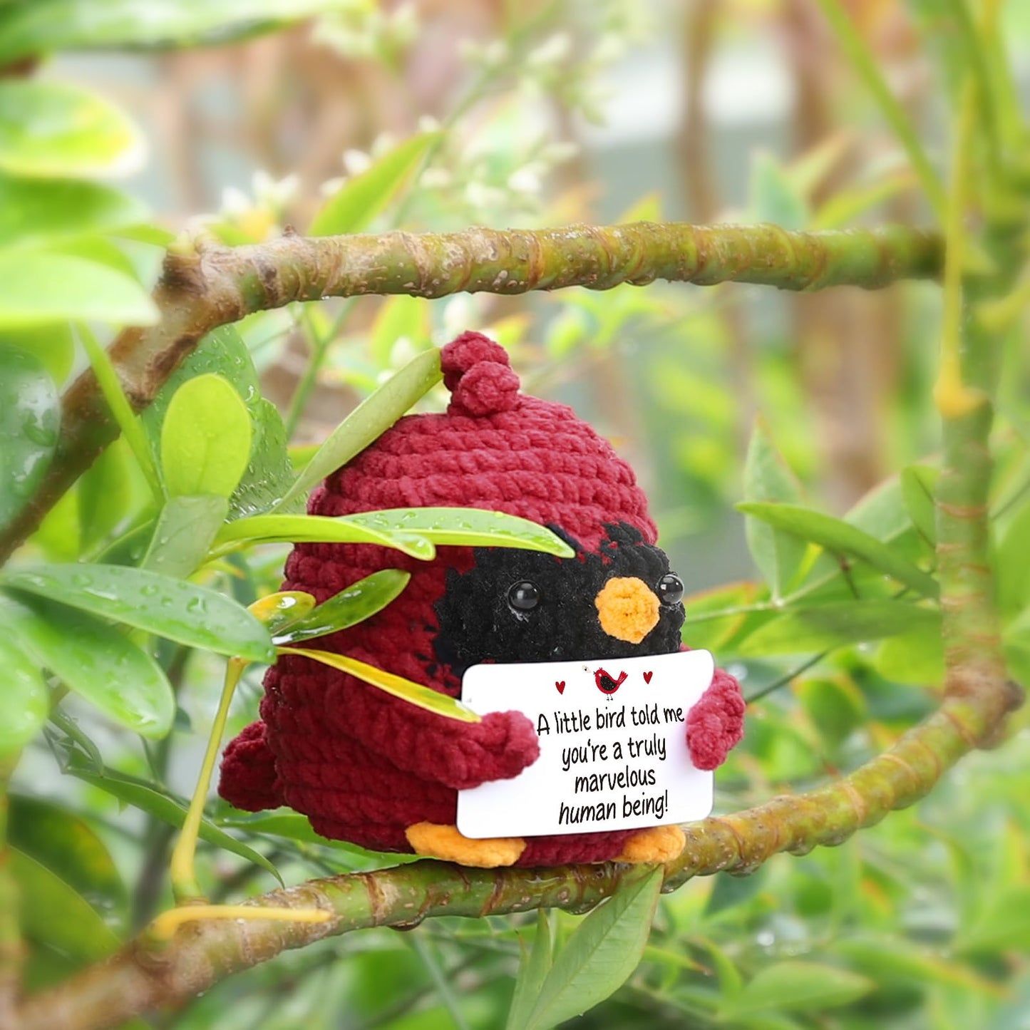MY-ALVVAYS Mini Crochet Figurine Collectible Doll, Red Bird Thank You Gifts for Women, Teacher Appreciation Gifts Birthday Graduation, Woman Man Male Female Emotional Gifts