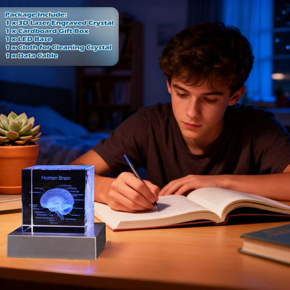 3D Human Brain Anatomy Model, Doctor Psychology Gifts, K9 2.4 Inch Etched Crystal Cube Lamp with Battery Powered, Brain Figure Paperweight Science Biology Graduation Teacher Appreciation Gifts