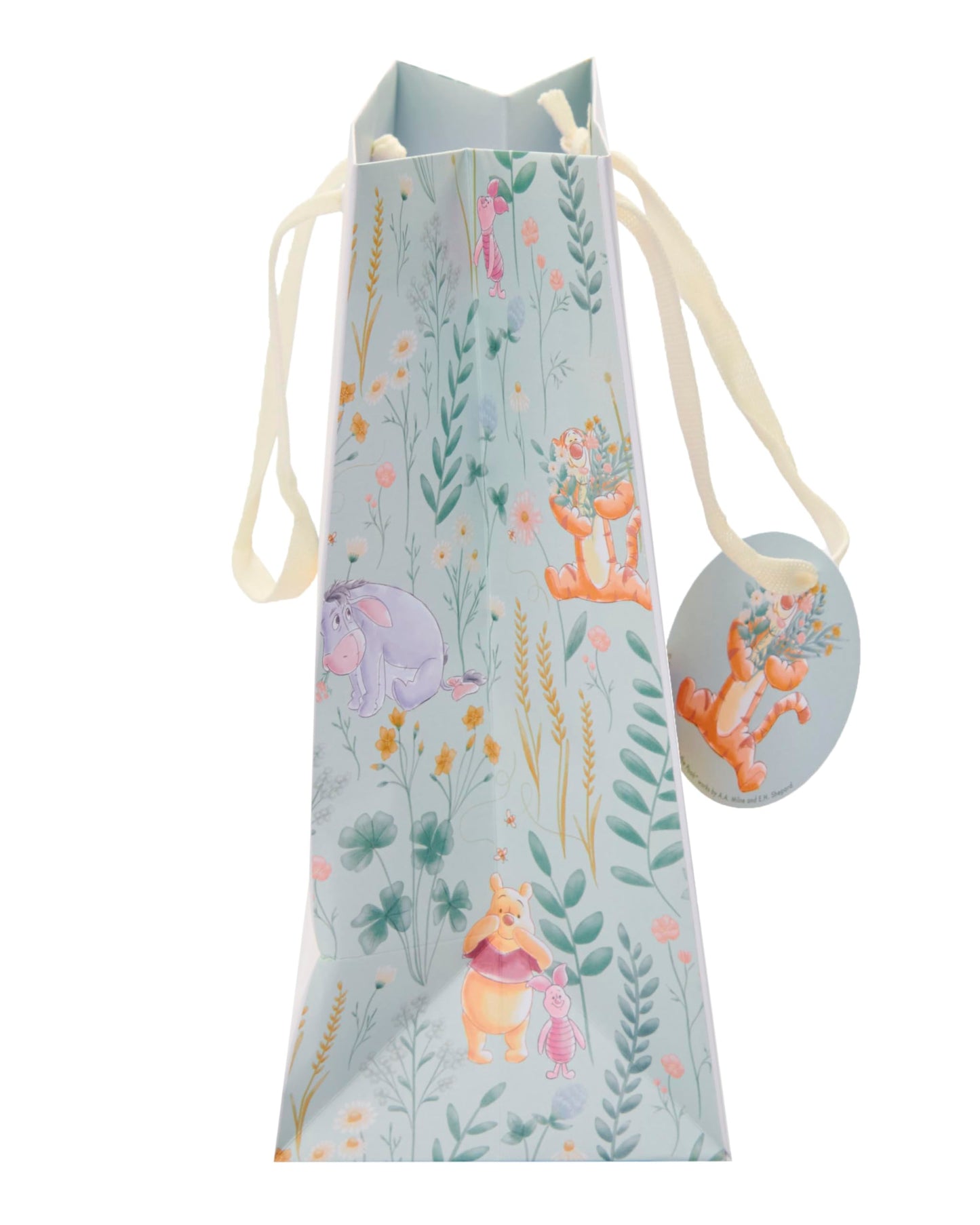 UK Greetings Disney Winnie The Pooh Medium Gift Bag for Him/Her/Friend - for Birthdays, Thank You & Other Events - Pooh & Eeyore Design