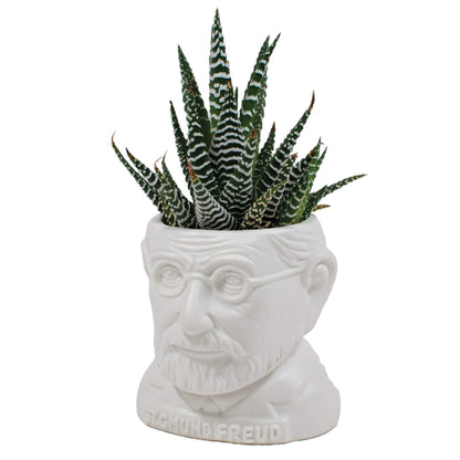 The Unemployed Philosophers Guild Sigmund Freud Bust Ceramic Planter