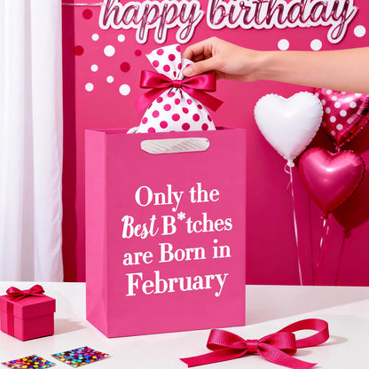 WRAPAHOLIC 13" Large Funny Birthday Month Gift Bag with Tissue Paper - Best Bitches Born in February Humor Bday Gift Bags for Women Best Friends Birthday