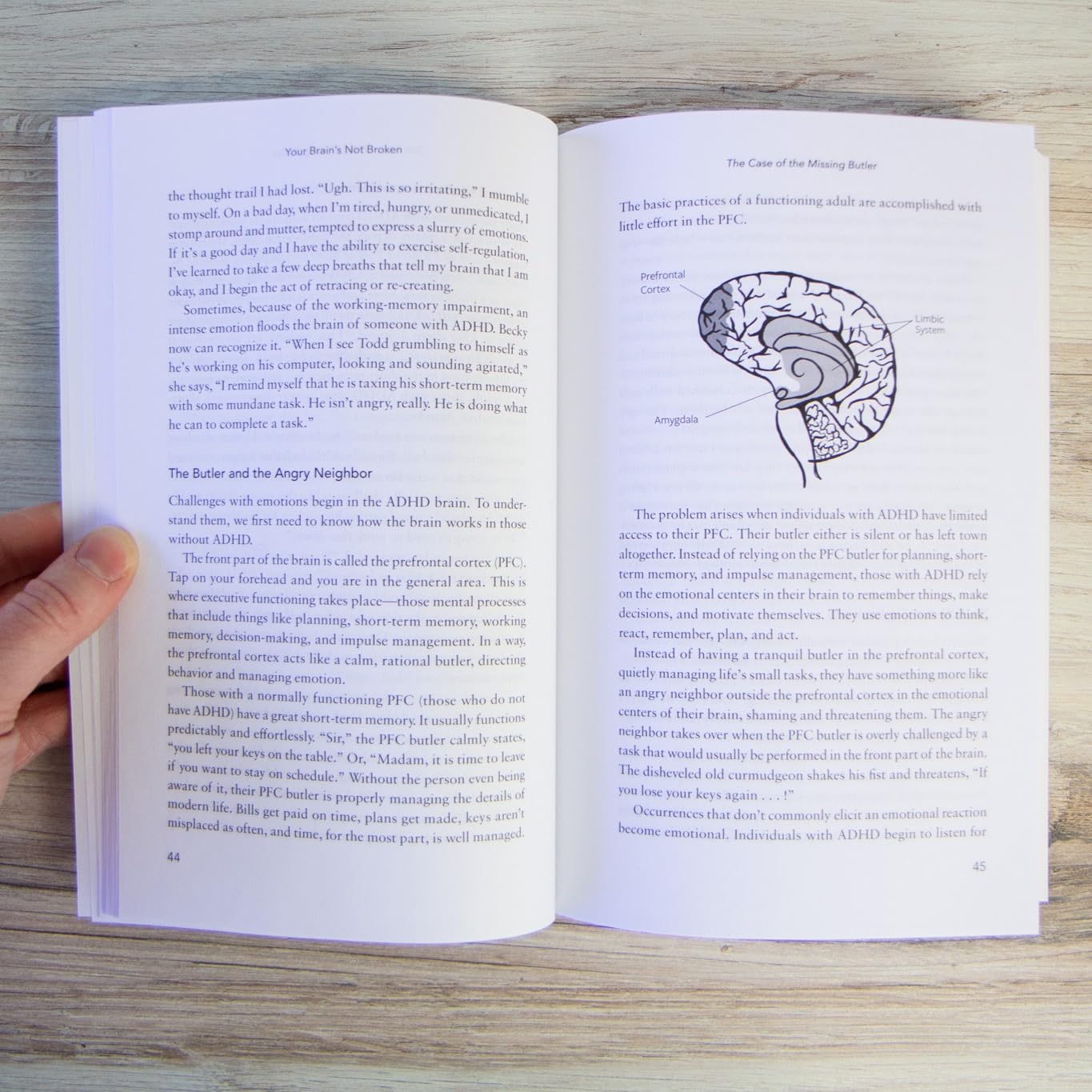 Your Brain's Not Broken: Strategies for Navigating Your Emotions and Life with ADHD | Guide & Workbook for Neurodivergent Adult Men & Women | Tools for Parenting ADD Children