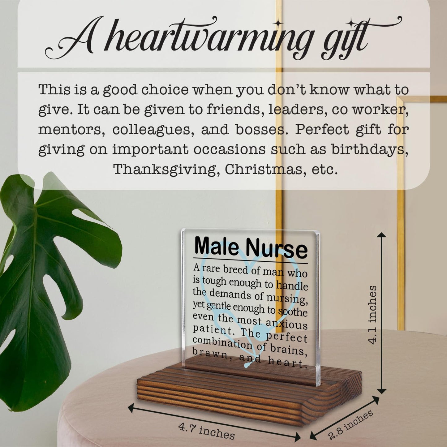 Male Nurse Gifts, Appreciation Desk Sign for Men in Nursing, Inspirational Recognition Plaque for Compassionate and Strong Healthcare Professionals PA044