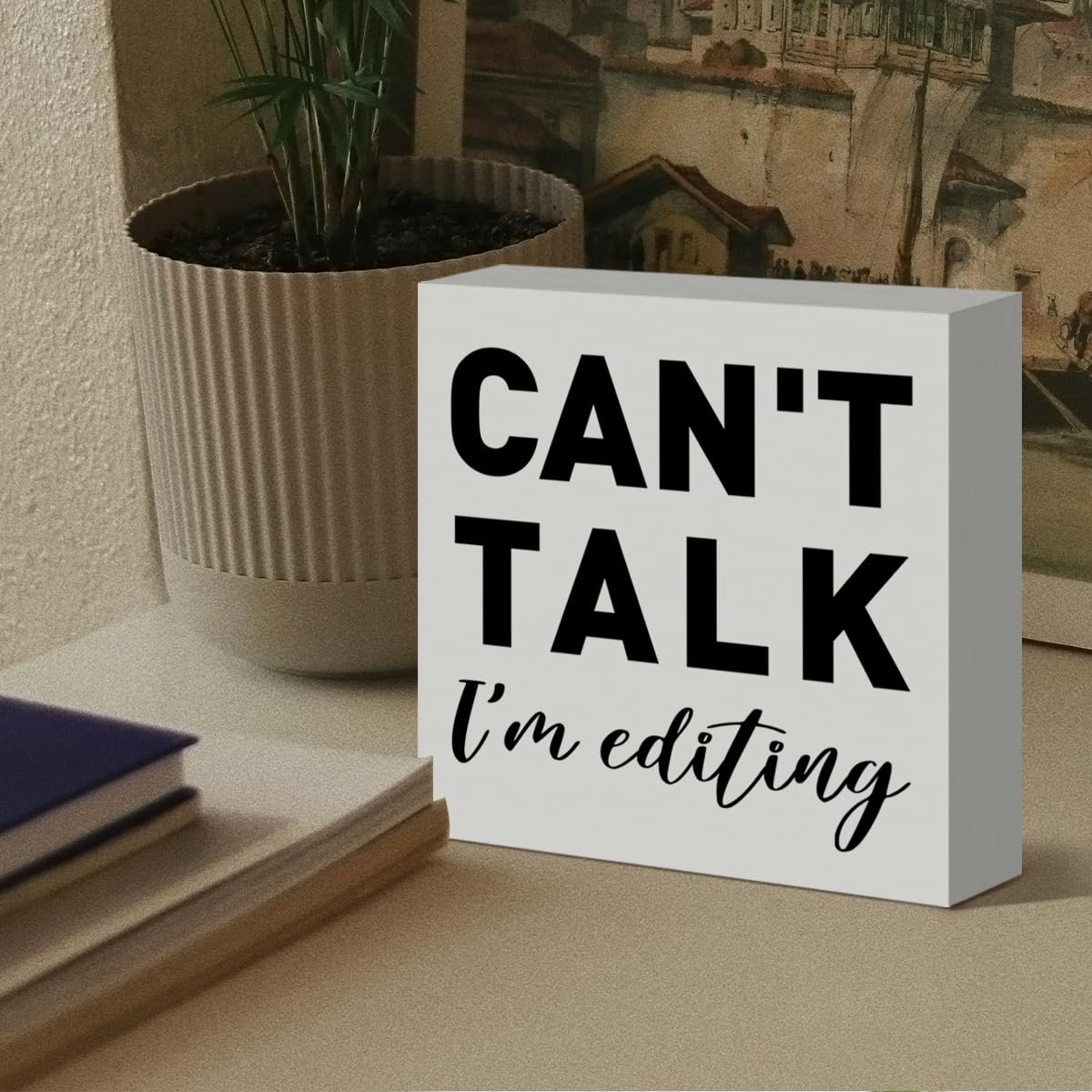 Photography Lovers Gifts for Men Women, Photographer Thank You Gift Christmas Birthday Gift for Photography Camera Lovers Photography Office Desk Decor Wooden Sign, Can't Talk