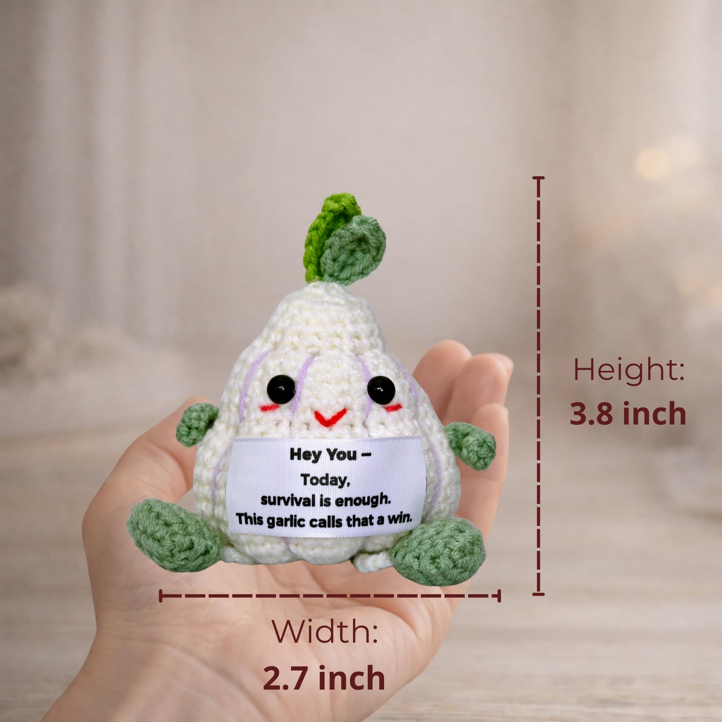 Handmade Crochet Decorative Gift with Meaningful Quote – Garlic Friends Design – Cute Design Collection for Men and Women, Romantic Gift for Valentine's Day, Birthday, and Christmas