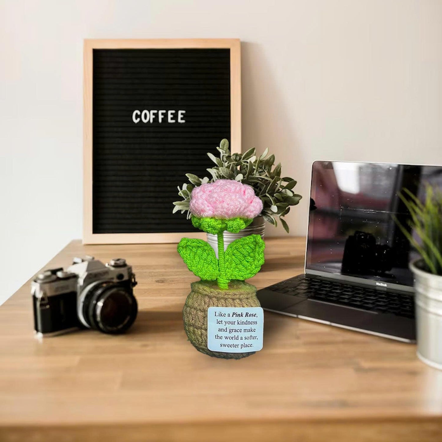 Handmade Crochet Flower Pots with Card | Decor, Gift, Appreciation for Women, Best Friends, Teachers, Coworkers | Perfect for Birthday, Christmas, Mother’s Day, Special Occasions (Pink Rose)