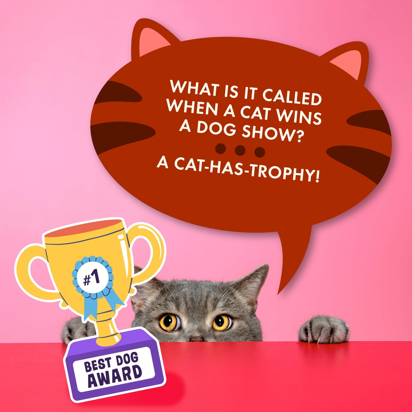 Ridley’s 100 Paw-Some Cat Joke Cards – Includes 100 Jokes for Kids and Adults, Funny Jokes for Family-Friendly Fun, Makes a Great Gift Idea
