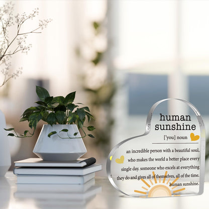 Fall Thank You Gifts for Women, Inspirational Quotes Gifts, Human Sunshine Gifts, Motivational Gifts, Appreciation Gifts for Teacher Friends Coworkers Doctor Nurse, Acrylic Desk Sign Decor