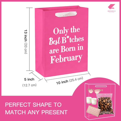 WRAPAHOLIC 13" Large Funny Birthday Month Gift Bag with Tissue Paper - Best Bitches Born in February Humor Bday Gift Bags for Women Best Friends Birthday