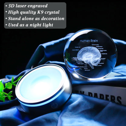 Brain Gifts for Neurologist, Laser Ethced Human Brain Anatomical Model 3D Crystal Ball, Brain Surgery Gifts for Doctors, Physiology Graduation Gifts for Medical Students for Christmas