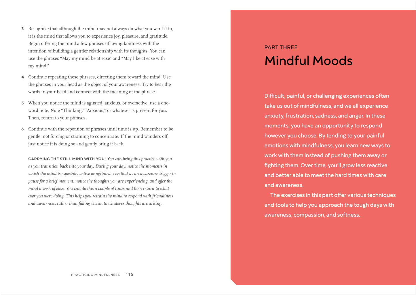 Practicing Mindfulness: 75 Essential Meditations to Reduce Stress, Improve Mental Health, and Find Peace in the Everyday