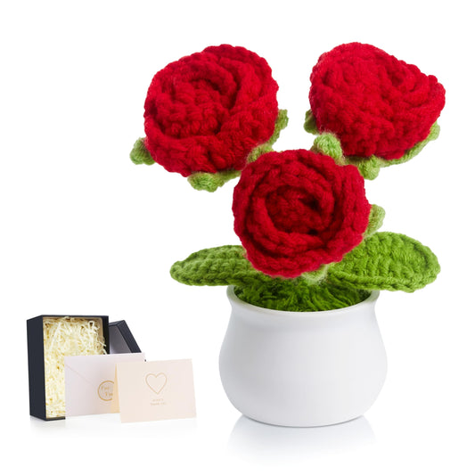 LAIDANLA Crochet Flowers Red Roses Mini Potted, Handmade Red Rose Anniversary Appreciation Birthday Gifts for Women Teacher Lover Mom Friend Knitted Flower for Desk Car Dashboard