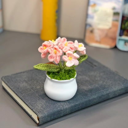 Joekaran Crochet Flowers Cute Flower for Her, Graduation Birthday Gifts for Women and Teacher, Mother, Coworkers, Valentines, Christmas, Desk Decor,Home Office Decoration(Pink Gradient Myosotis)
