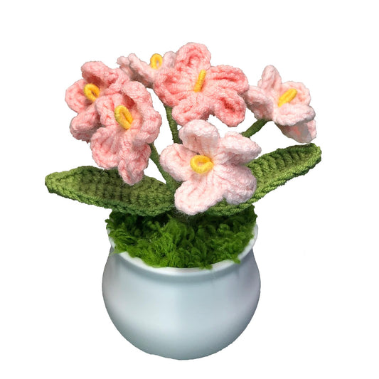 Joekaran Crochet Flowers Cute Flower for Her, Graduation Birthday Gifts for Women and Teacher, Mother, Coworkers, Valentines, Christmas, Desk Decor,Home Office Decoration(Pink Gradient Myosotis)