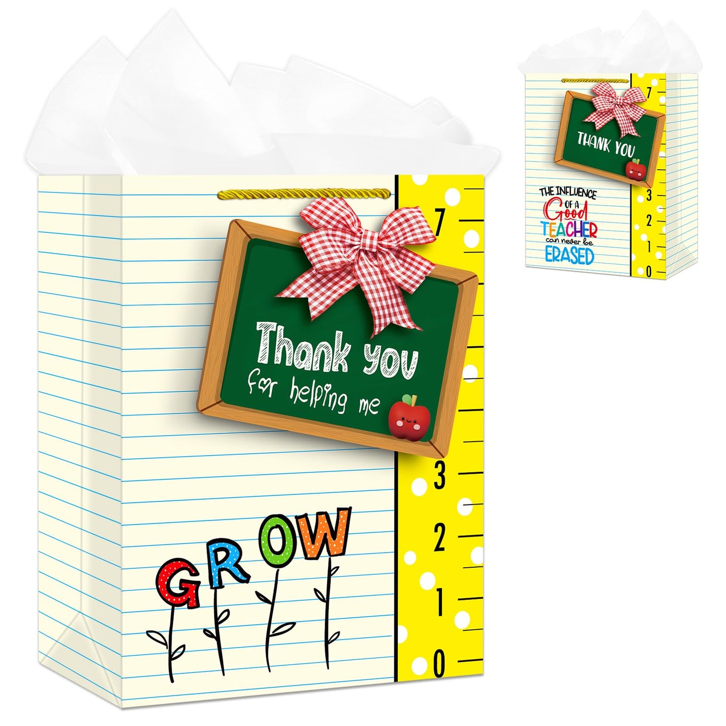 D4DREAM Teacher Gift Bag - 11.5'' Sturdy End of Year Teacher Appreciation Gift Bag with Handles and Tissue Paper for Graduation Teachers Retirement Teacher Party Supplies