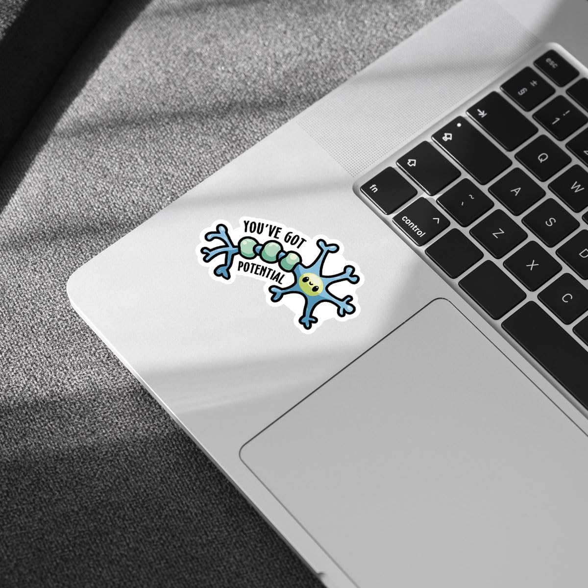 3Pcs You've Got Potential Sticker Cute Neuron Psychology Gift Stickers Neuroscience Brain Funny Meme Science Medical You ve Got Potential Biology Decal for Laptop Bottle Car Hard Hat 3" (Y1)