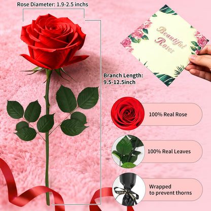 Single Forever Roses Luxury Gift for Women/Men, Birthday Gifts for Women,Flowers Gifts for Girlfriend,Wife,Mom,Anniversary,Valentine's Day,Wedding,Graduation,Presents for Her,Red