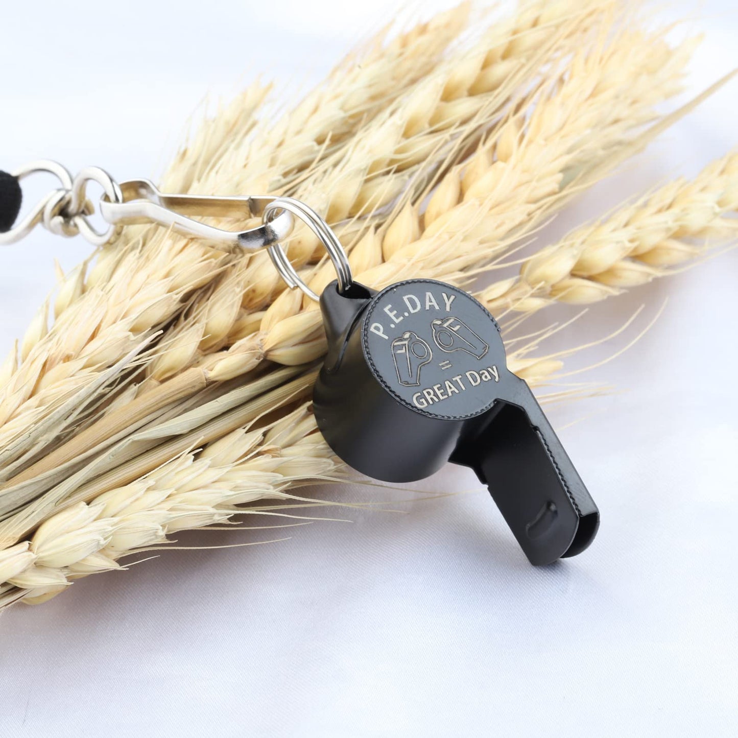 UJIMS PE Teacher Whistle Physical Education Teacher Appreciation Gifts Gym Teacher Gifts Whistle for Elementary School Coach (PETeacherBlackWhistle)