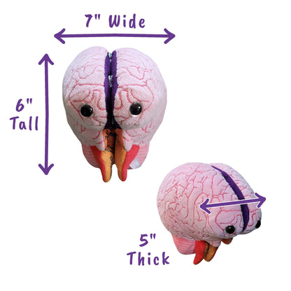 GIANTmicrobes Brain Model, Human Brain Anatomy Model, Brain Model for Kids, Brain Model for Neuroscience, Brain Model for Teaching, Brain Model for Psychology, 3D Brain Model, Brain Anatomy Toy