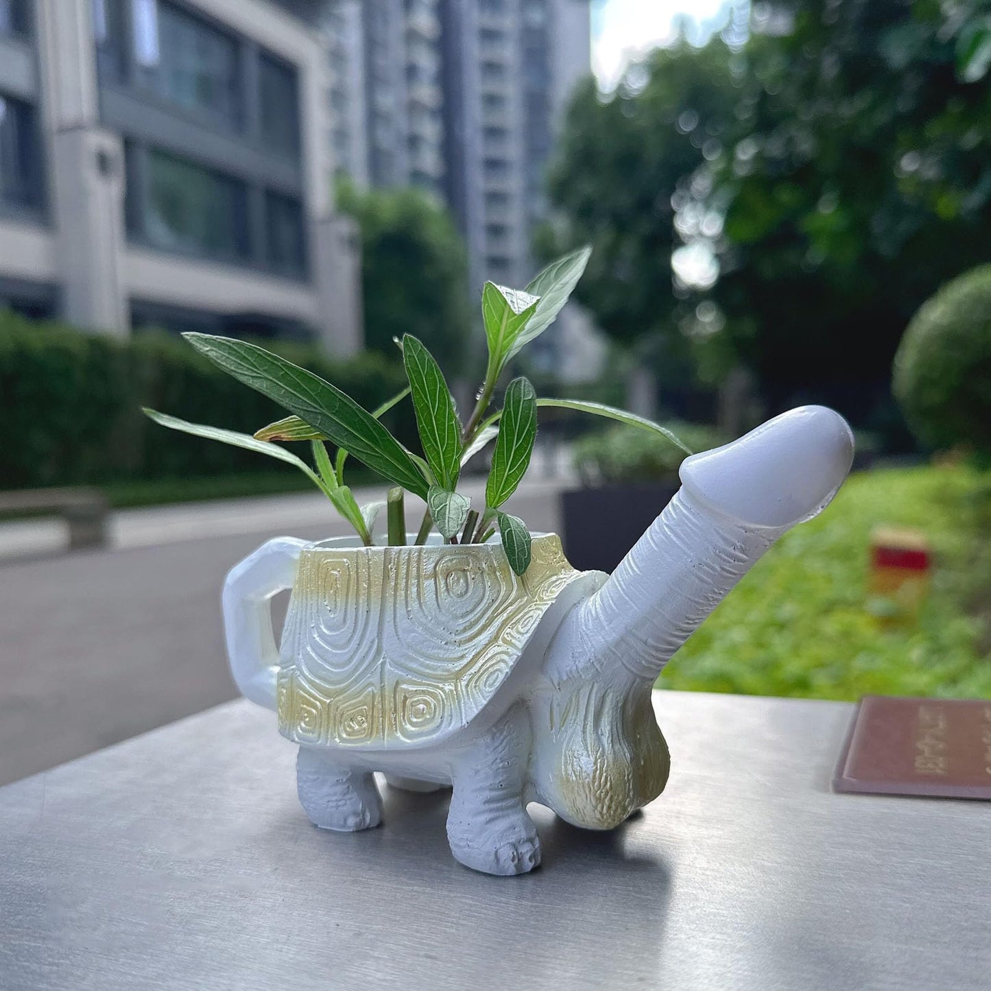 Penis Turtle Planter Turtle Flower Pot Mischievous Joke Gift Indoor and Outdoor Garden Decoration