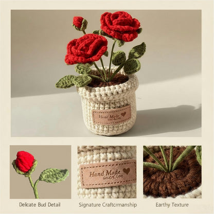 Hand-Made Crochet Red Roses with Pocket Hug Card and Gift Box, Knitted Artificial Flowers for Home Room Table Office Decor and Appreciation Gifts for Family Girlfriend Other Half Mothers Day