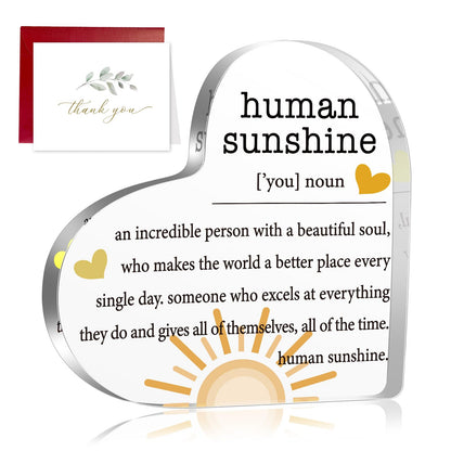Fall Thank You Gifts for Women, Inspirational Quotes Gifts, Human Sunshine Gifts, Motivational Gifts, Appreciation Gifts for Teacher Friends Coworkers Doctor Nurse, Acrylic Desk Sign Decor