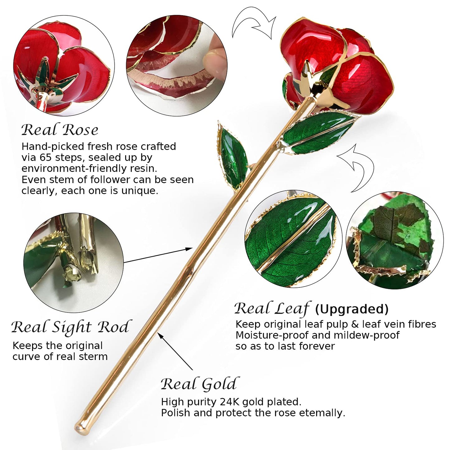 Sinvitron Gold Dipped Infinity Rose - Eternal Resin-Preserved Rose | Forever Flower Decor for Birthdays, Mother’s Day, Anniversaries | Unique Gift for Women, Mom, Wife (Red)