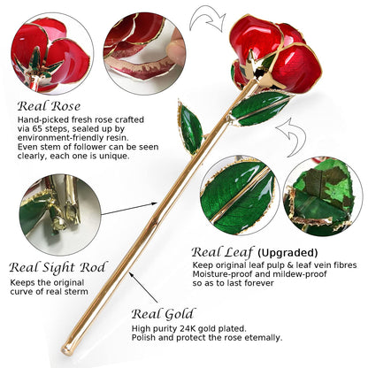 Sinvitron Gold Dipped Infinity Rose - Eternal Resin-Preserved Rose | Forever Flower Decor for Birthdays, Mother’s Day, Anniversaries | Unique Gift for Women, Mom, Wife (Red)