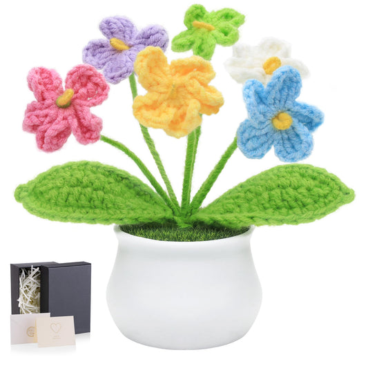 LAIDANLA Crochet Flowers Forget Me Not Potted Plant, Mini Handmade Knitted Flower for Desk, Crochet Flower in Pot, Unique Gifts for Women Teacher Mom Friend, Birthday Graduation