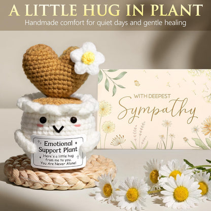Sympathy Gifts Baskets for Loss of Loved One Mother Father Husband Mom Dad, Memorial Bereavement Grief Condolences Gift Basket for Loss, Hug In A Box Miscarriage Gifts for Mothers Women Care Package