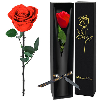 Single Forever Roses Luxury Gift for Women/Men, Birthday Gifts for Women,Flowers Gifts for Girlfriend,Wife,Mom,Anniversary,Valentine's Day,Wedding,Graduation,Presents for Her,Red