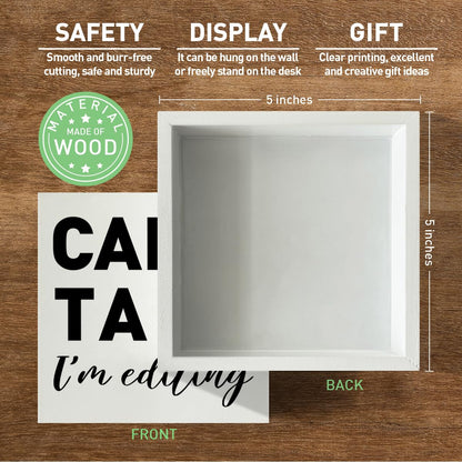 Photography Lovers Gifts for Men Women, Photographer Thank You Gift Christmas Birthday Gift for Photography Camera Lovers Photography Office Desk Decor Wooden Sign, Can't Talk