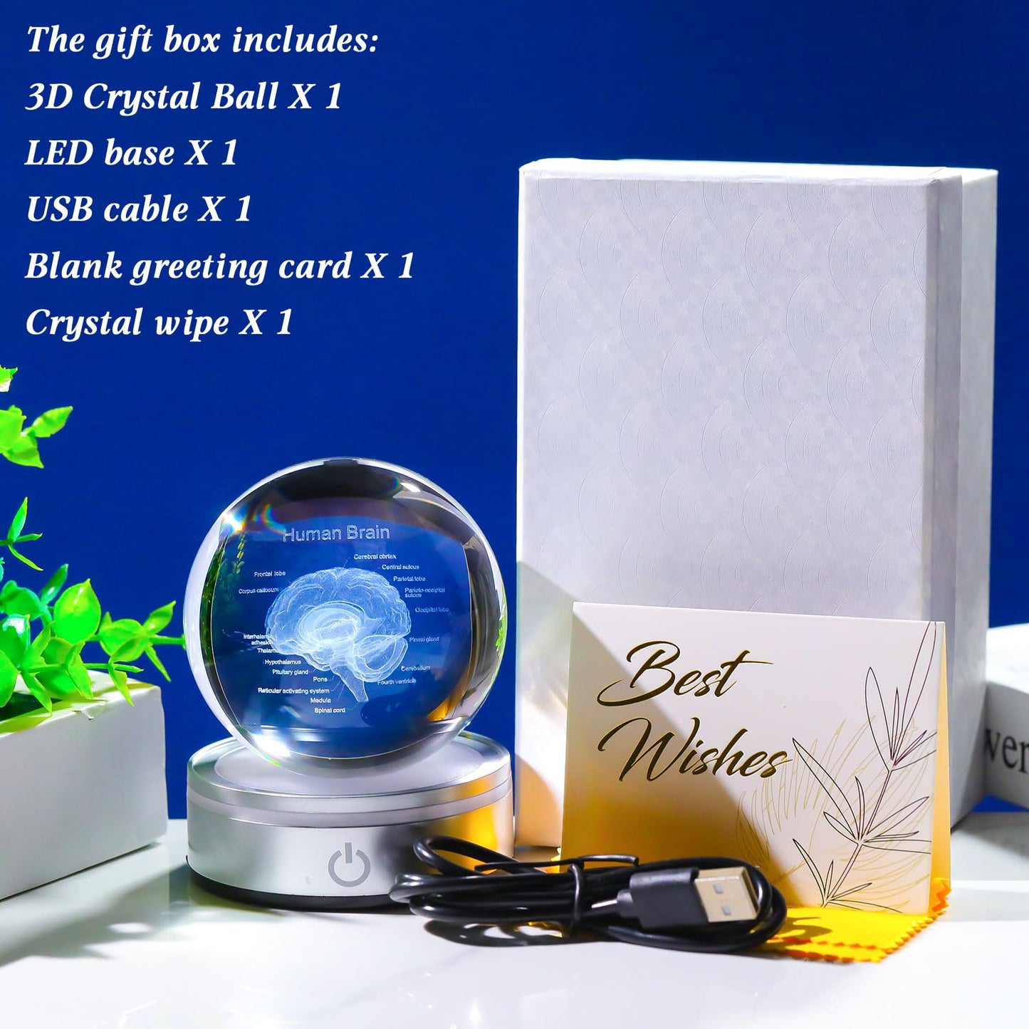 Brain Gifts for Neurologist, Laser Ethced Human Brain Anatomical Model 3D Crystal Ball, Brain Surgery Gifts for Doctors, Physiology Graduation Gifts for Medical Students for Christmas