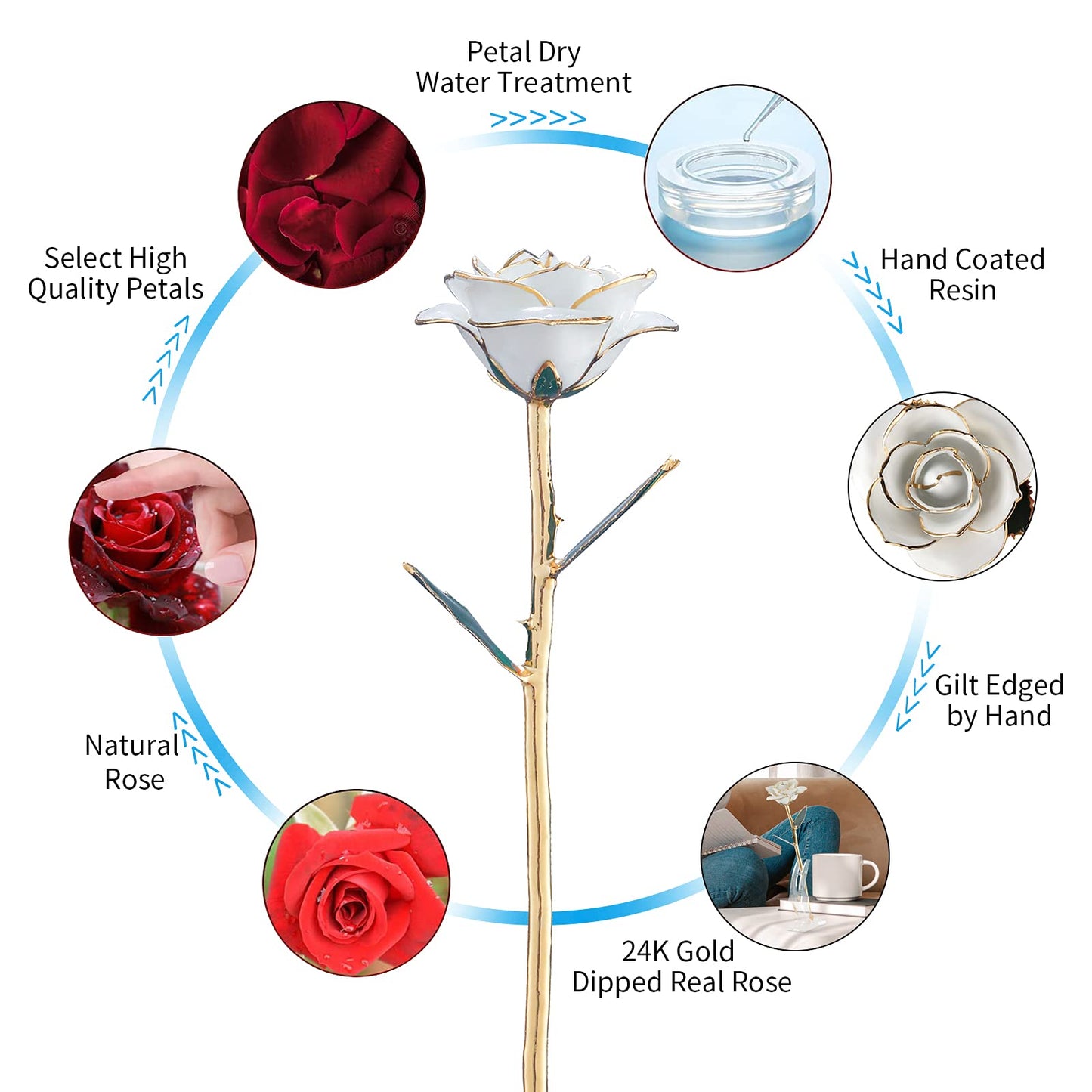 SW 24k Gold Dipped Real Rose Lasted Forever with Stand, White Gold Rose Gifts for Women Wife for Her, Christmas, Valentines Day, Mothers Day, Birthday