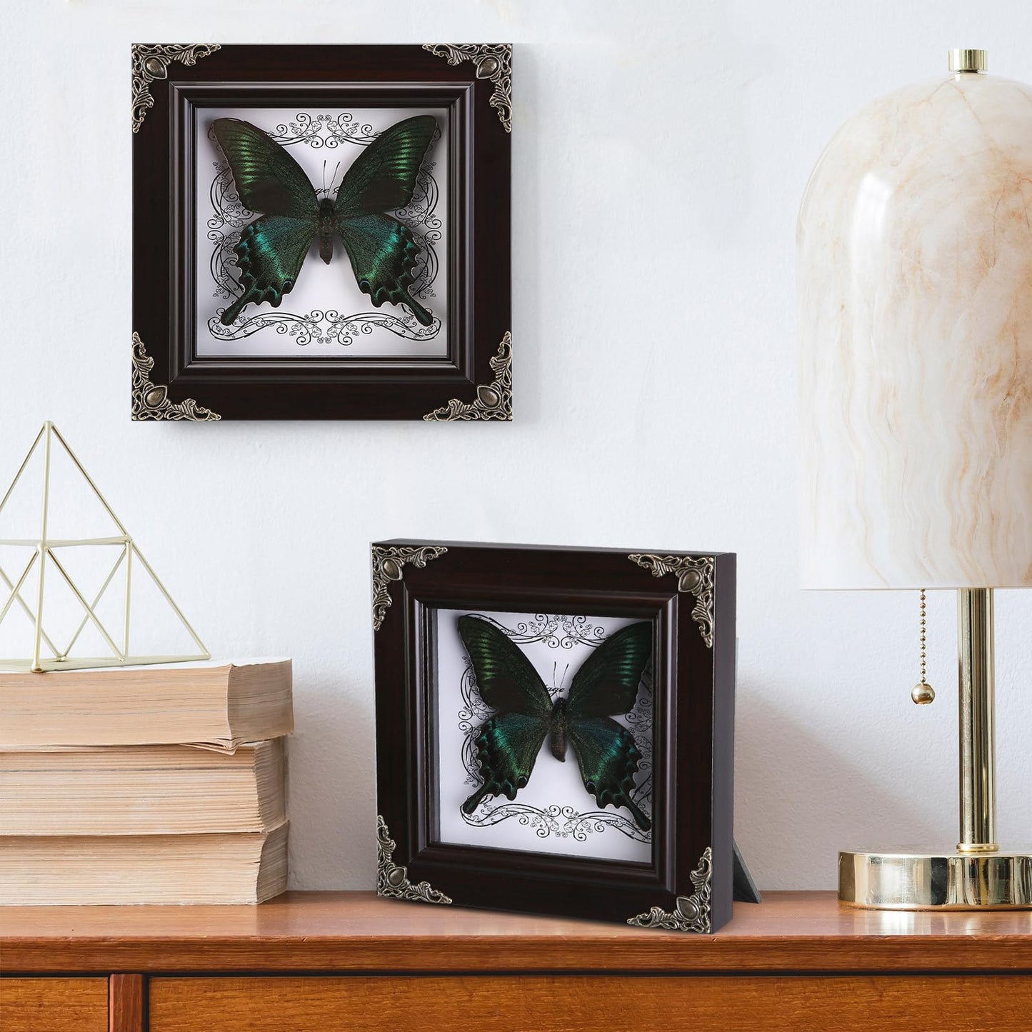 Real Butterfly Framed Handmade, Taxidermy Butterfly Shadow Box Collection, Framed Butterfly Taxidermy for Gothic Home Decor (A_Green-Banded Queen Butterfly)