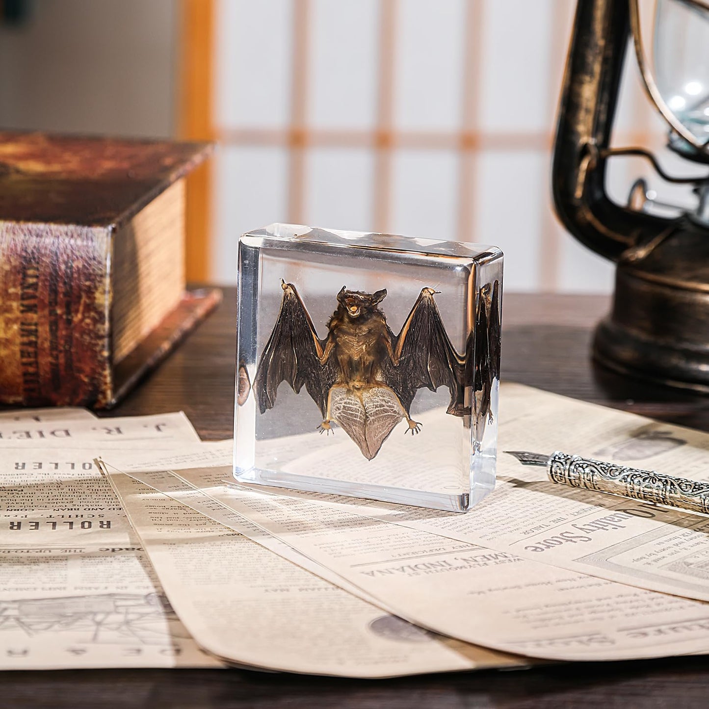 Real Taxidermy Bat in Resin - Authentic Animal Specimen for Gothic Home Decor, Science Education & Unique Nature Gifts (Premium Preservation, Handmade Display)