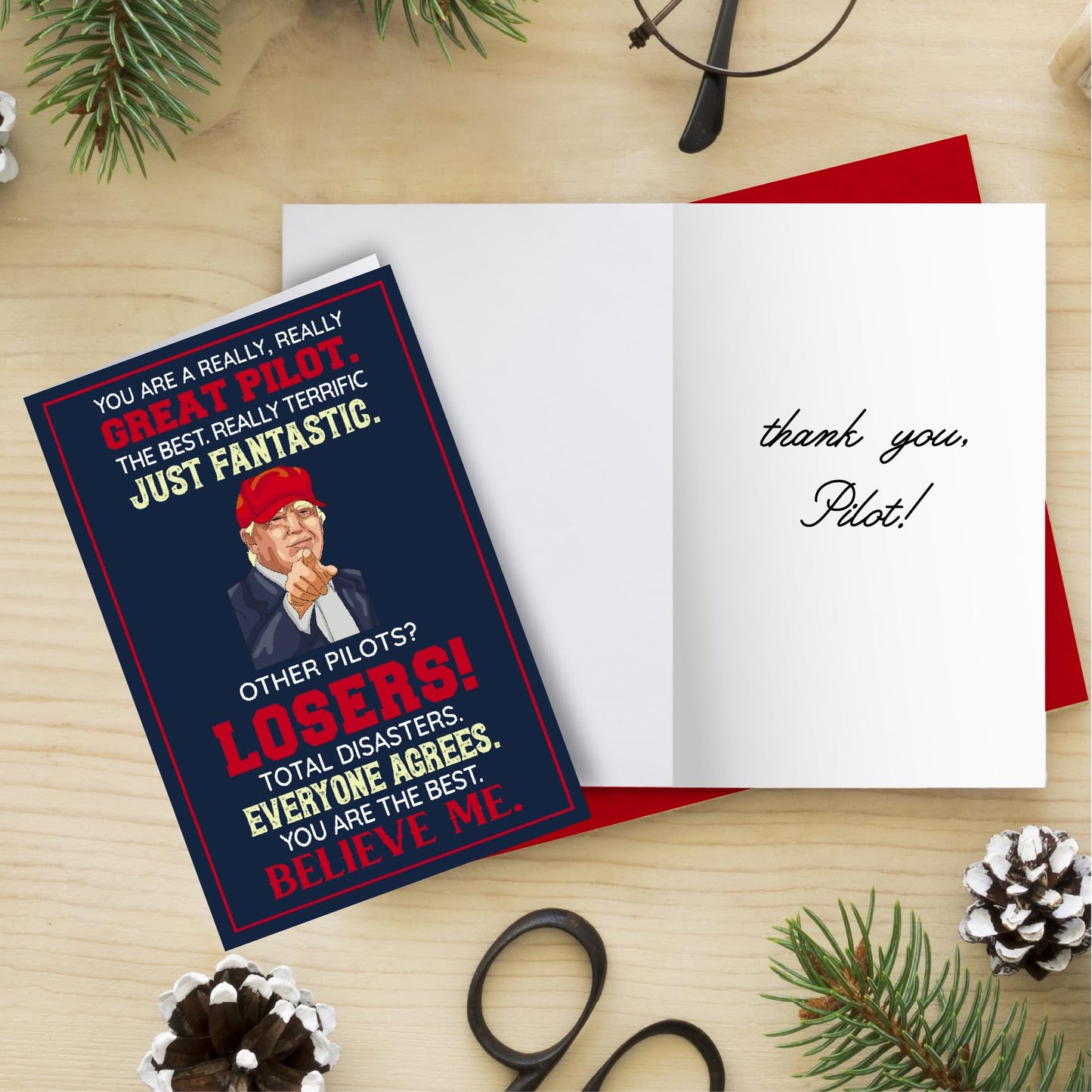 Funny Card for Pilot on Christmas, Birthday, Fathers Day, Humor Pilot Greeting Cards, Heartfelt Message for Men, Decorations for Aviation Man, Premium Quality