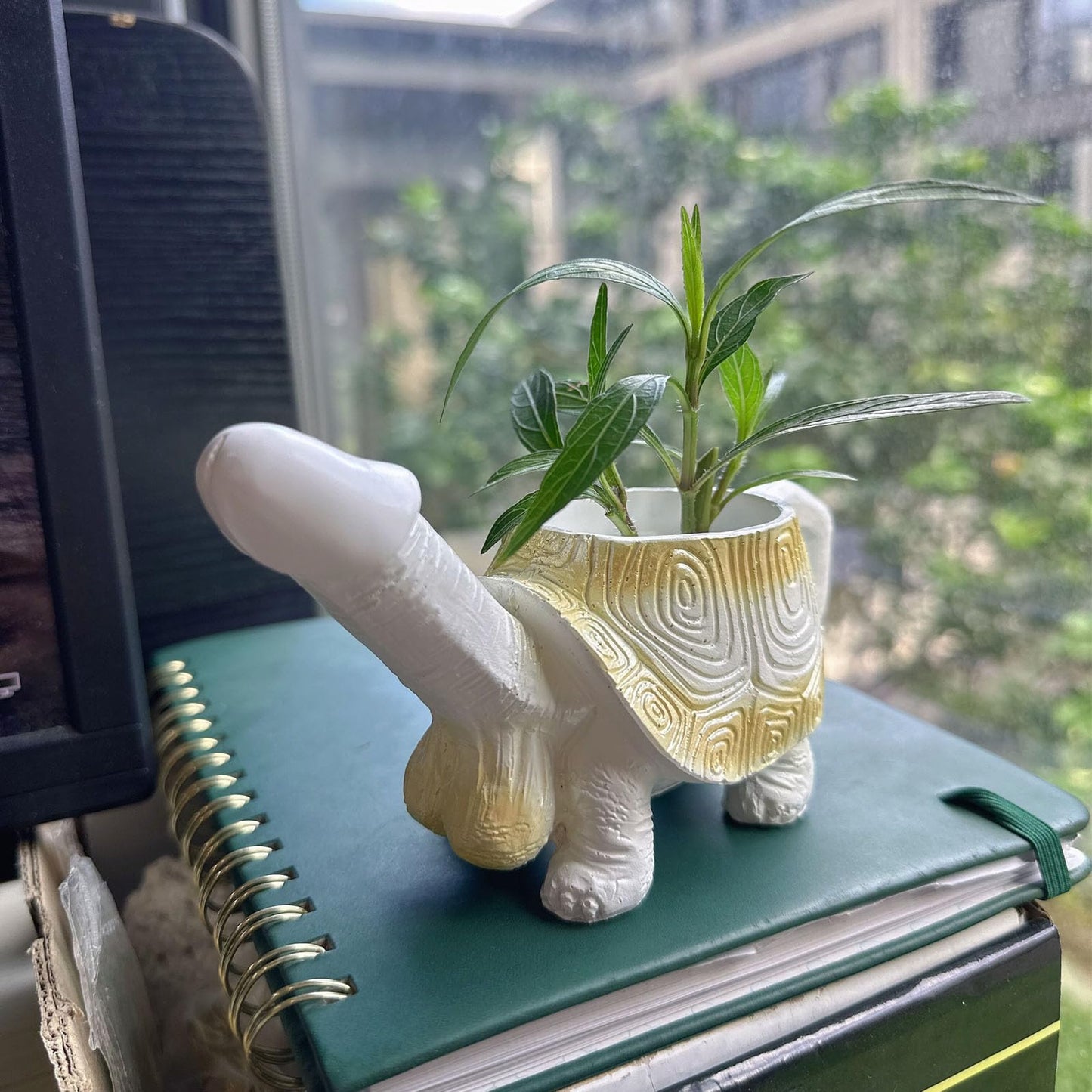 Penis Turtle Planter Turtle Flower Pot Mischievous Joke Gift Indoor and Outdoor Garden Decoration