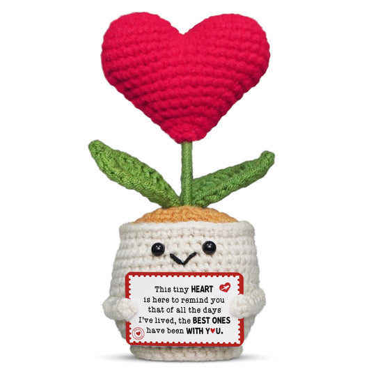 OASSIE Anniversary Couple Gifts for Women Men - Heart Flower Pot Crochet - Romantic Anniversary Wedding Mothers Day Birthday Gifts for Wife Husband Him Her Boyfriend Girlfriend Couple