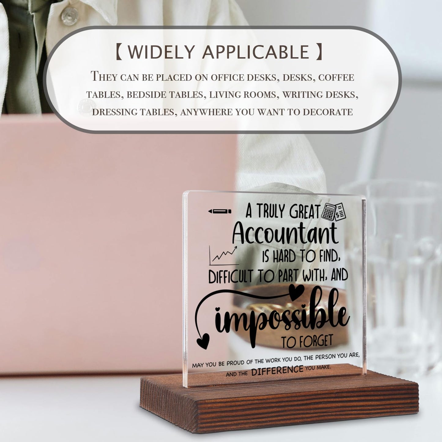 Accountant Gifts, Accountant Office Decor, Accountant Gifts for Women Men, Accountant Appreciation Thank You Gifts Accountant Gifts Tax Season Decorative Signs Plaques ABC80