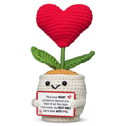 OASSIE Anniversary Couple Gifts for Women Men - Heart Flower Pot Crochet - Romantic Anniversary Wedding Mothers Day Birthday Gifts for Wife Husband Him Her Boyfriend Girlfriend Couple