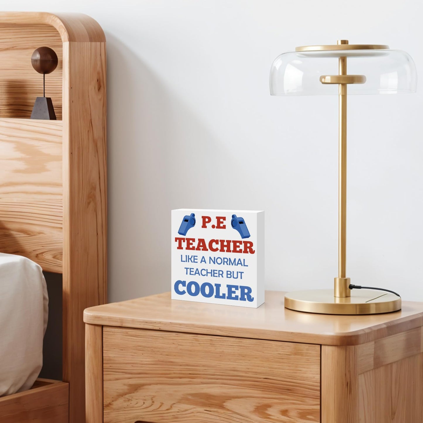 PE Teacher Appreciation Gifts for Women Men Christmas Birthday Thanksgiving Teachers' Day Retirement Back to School Graduation Physical Education Teacher Wooden Sign Desk Sign Decor