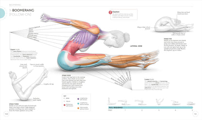 Science of Pilates: Understand the Anatomy and Physiology to Perfect Your Practice (The Science of Fitness)